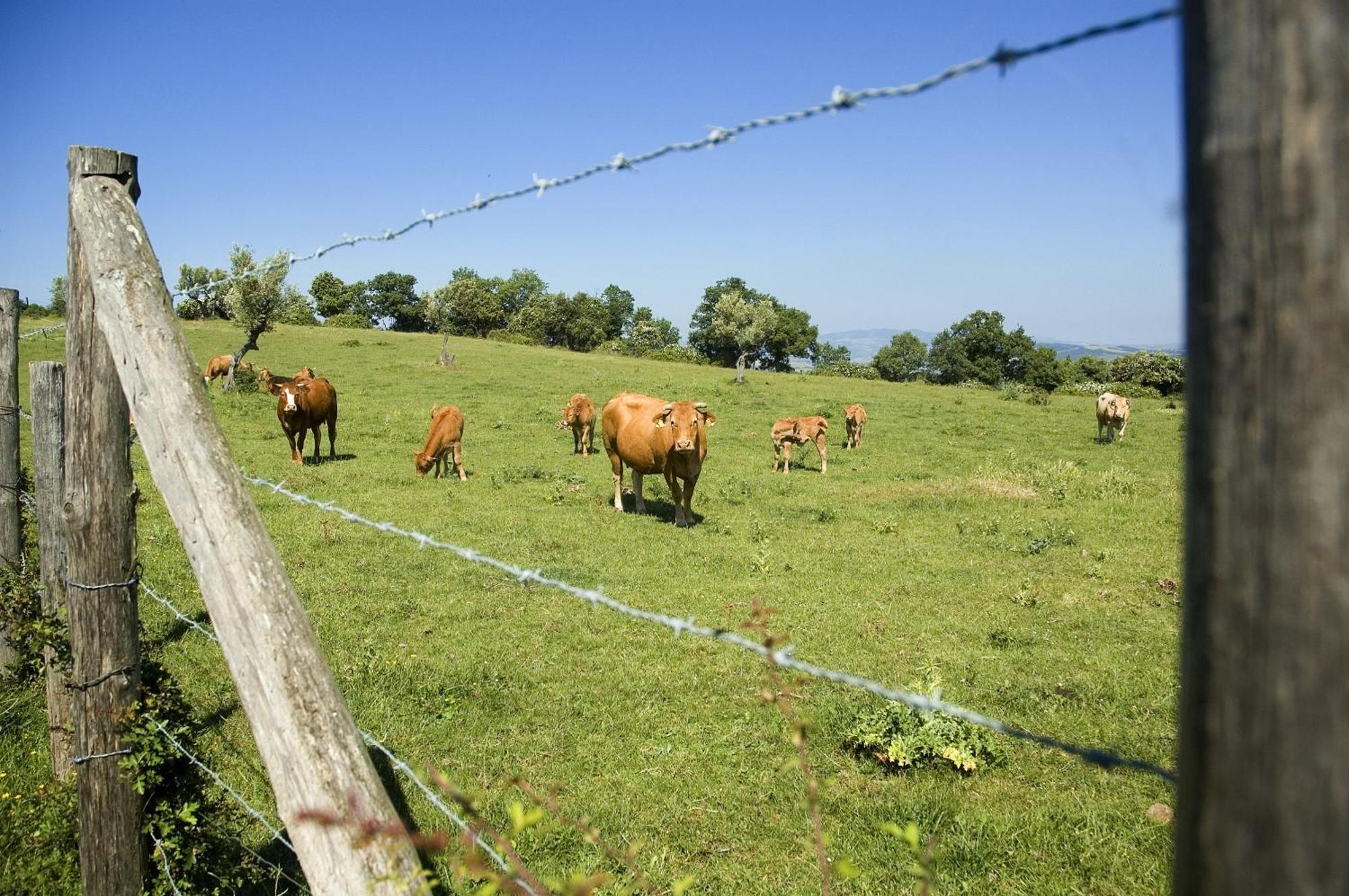 Borgo Cerbaiola Pensionat Montecastelli Pisano Exteriör bild